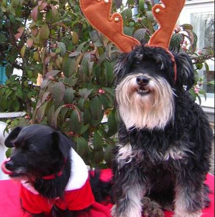 Weihnachtspost